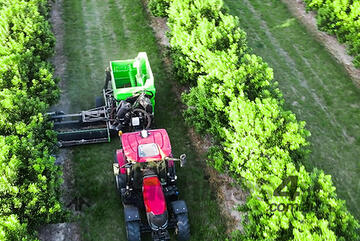 Tow Behind Macadamia Harvester